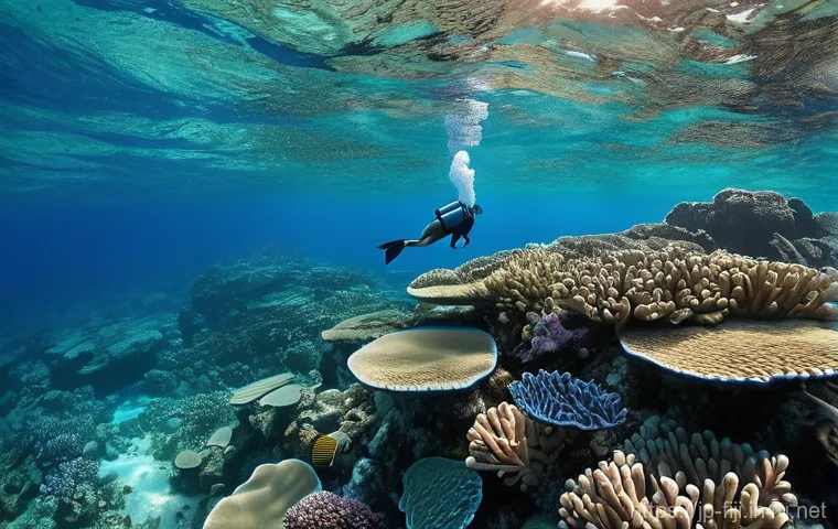 피지 여행 팁 및 주의사항 - **Meke Dance Performance at Sunset:**
    A vibrant, dynamic outdoor scene in Fiji, capturing a trad...